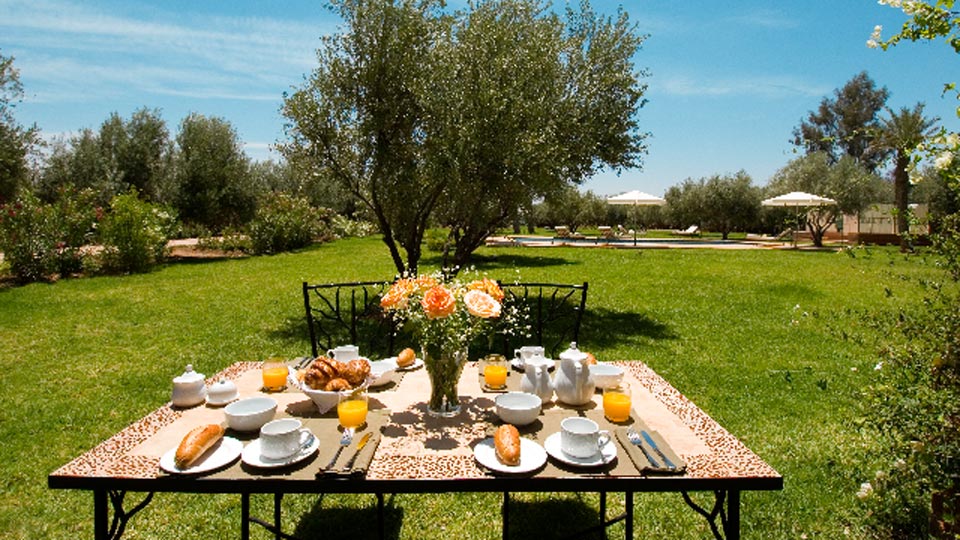 VillaNovo - Villa Marrakech 1194 - Jardin