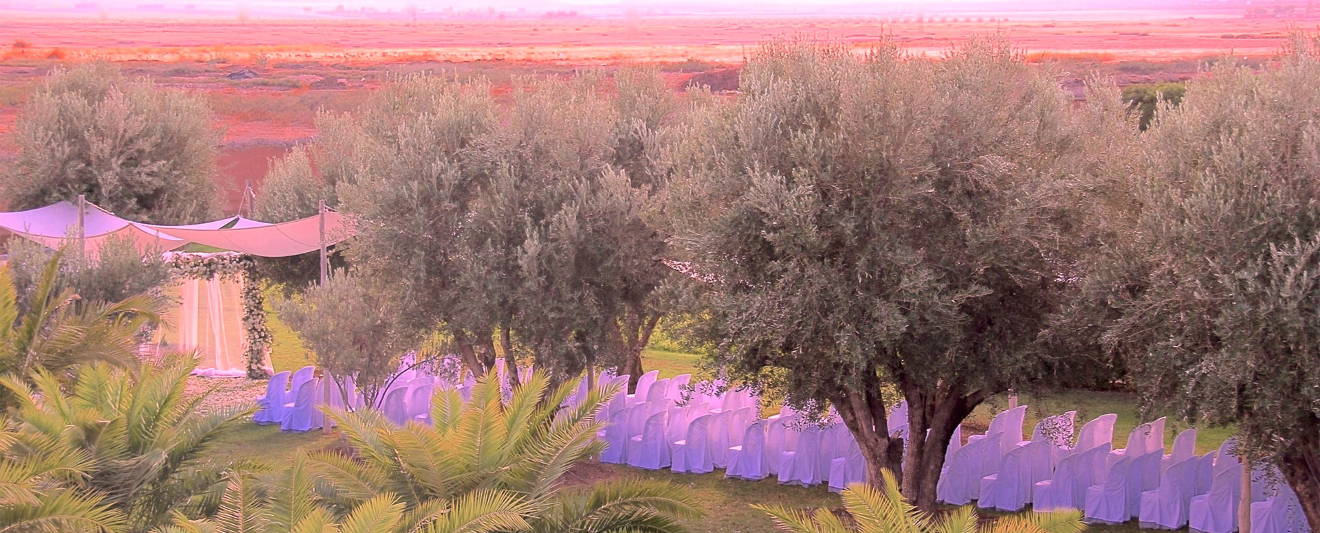 L’équipe_de_wedding_planners_de_Villanovo_rien_que_pour_vous_Des_villas_extraordinaires_et_des_services_sur_mesure