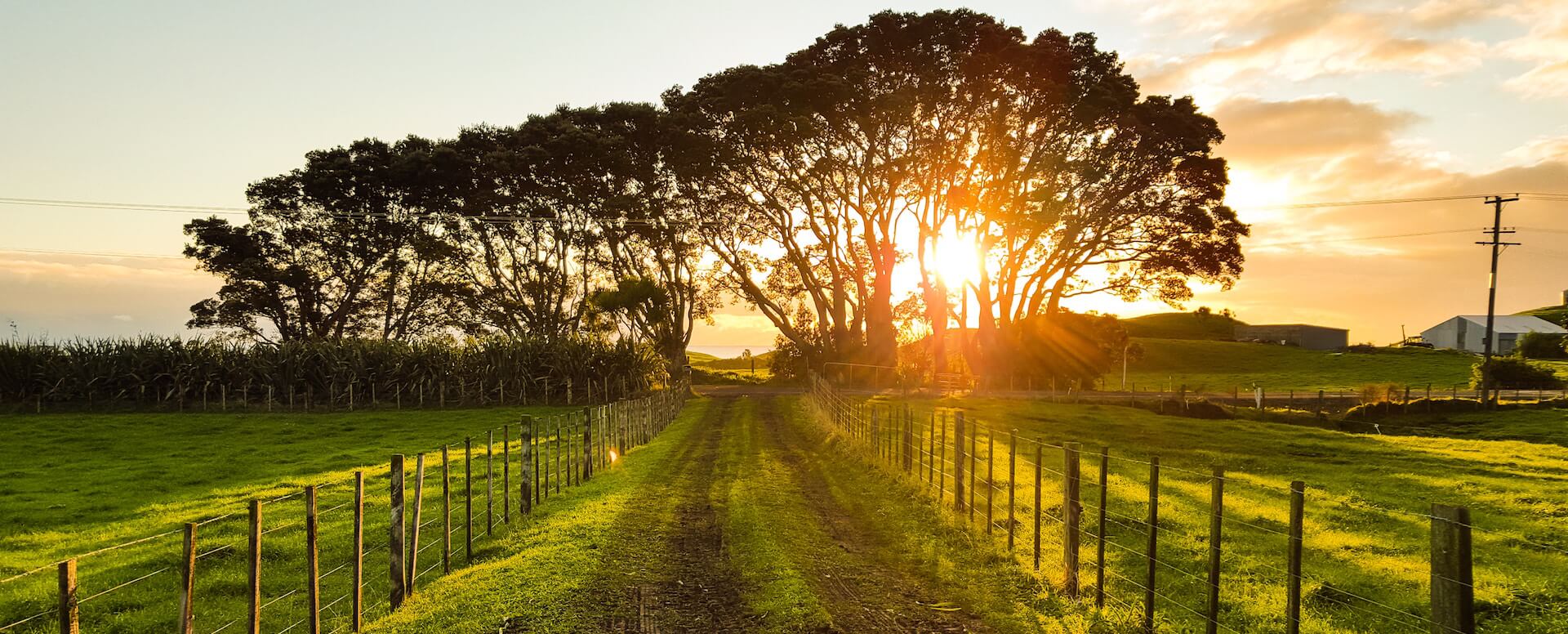 Location_d'une_villa_de_luxe_à_la_campagne_Les_splendides_espaces_extérieurs_de_nos_villas_à_la_campagne