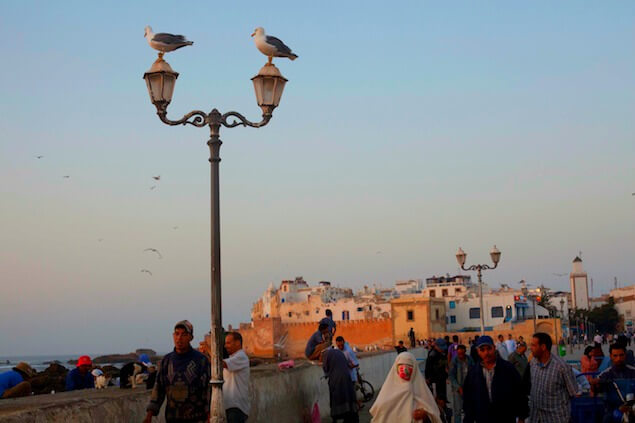 10 choses à faire Essaouira