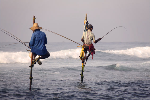 10 choses à faire Sri Lanka