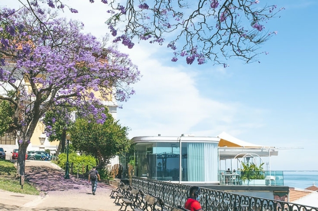 Le guide pratique Nord du Portugal