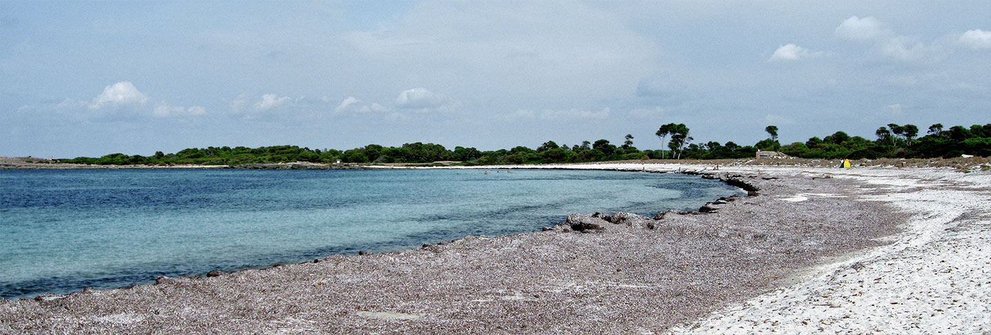 Les plus belles plages des Baléares - Ibiza
