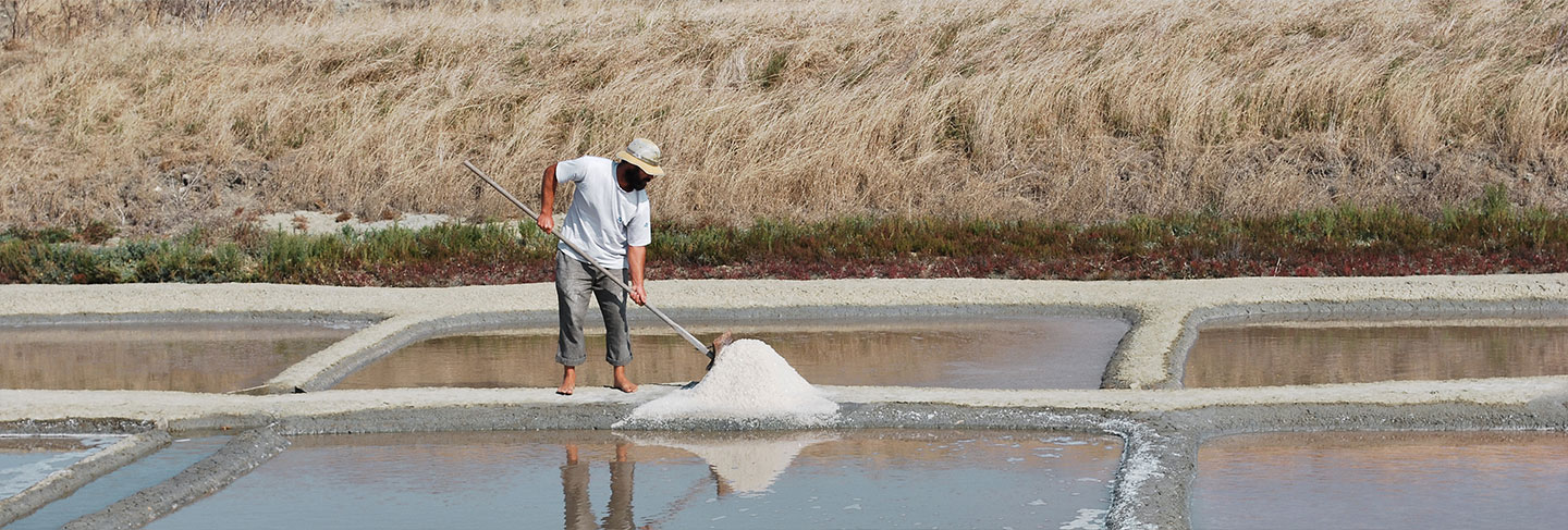 L'incontournable de l'Ile de Ré - Île de Ré