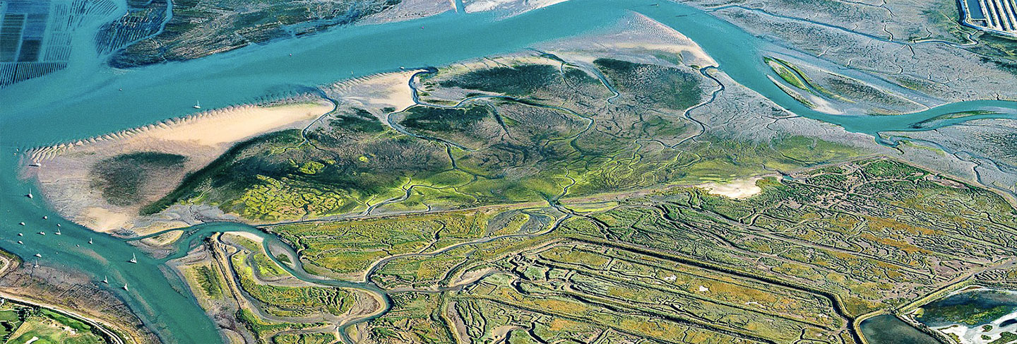 L'incontournable de l'Ile de Ré - Île de Ré