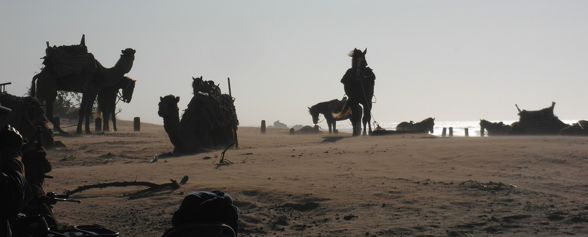 Un large choix d’activités en plein air - Essaouira