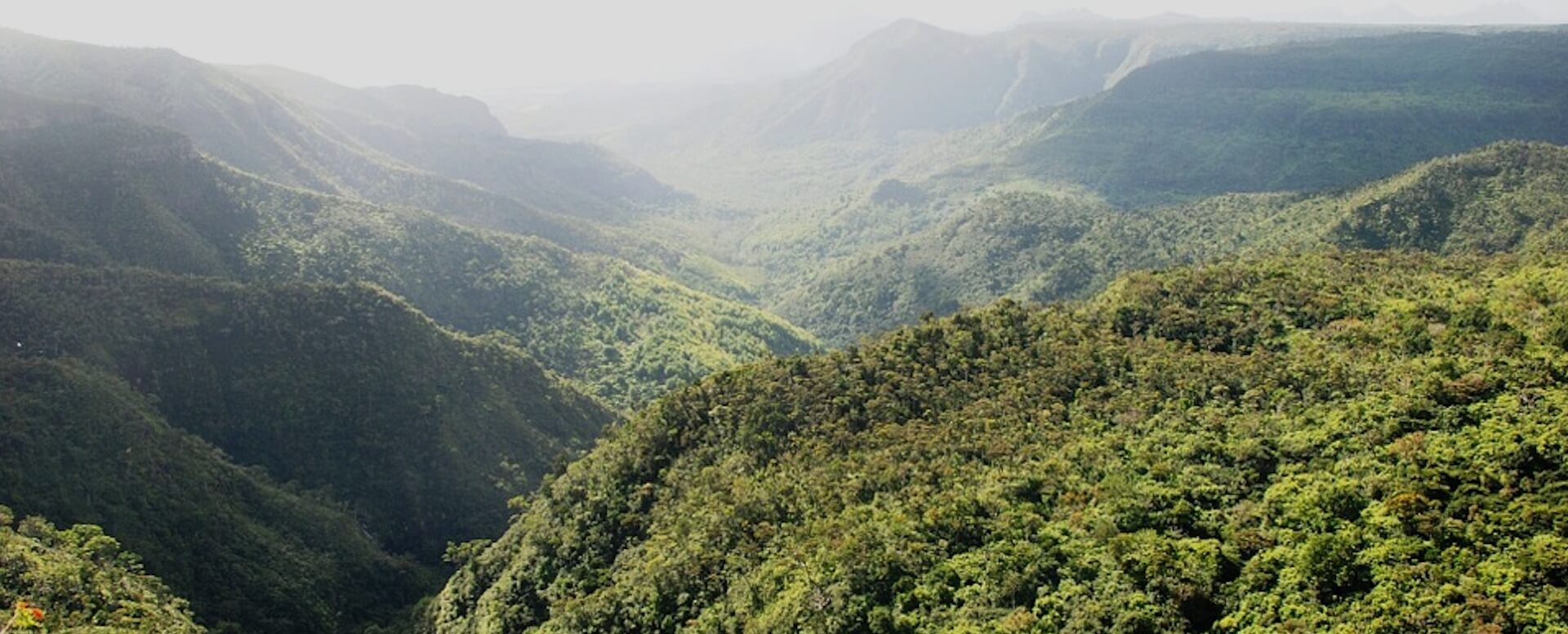 Ile aux Aigrettes - Île Maurice