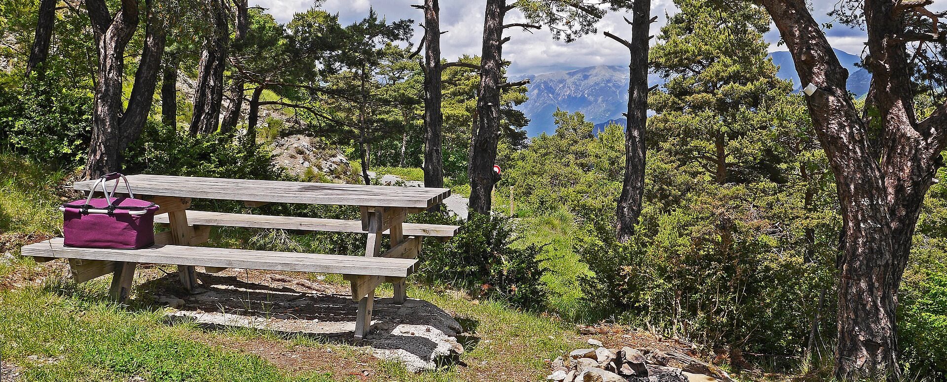 10. Le parc national des gorges de la Rivière Noire - Île Maurice