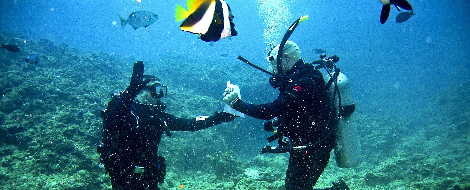 Plongée sous-marine - Île Maurice