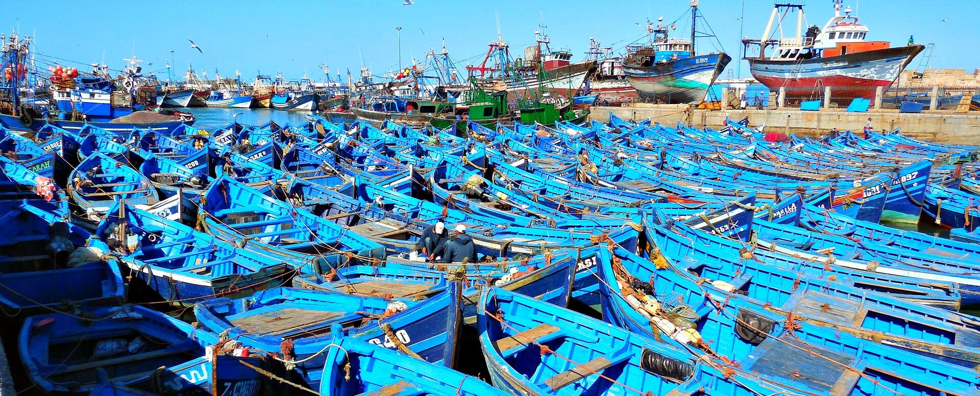 4. Explorer le marché de pêche et le port - Essaouira