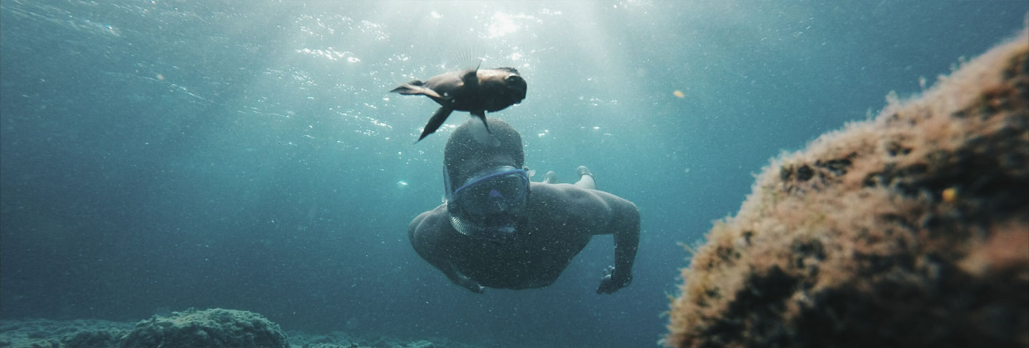 Les Incontournables des Baléares - Ibiza