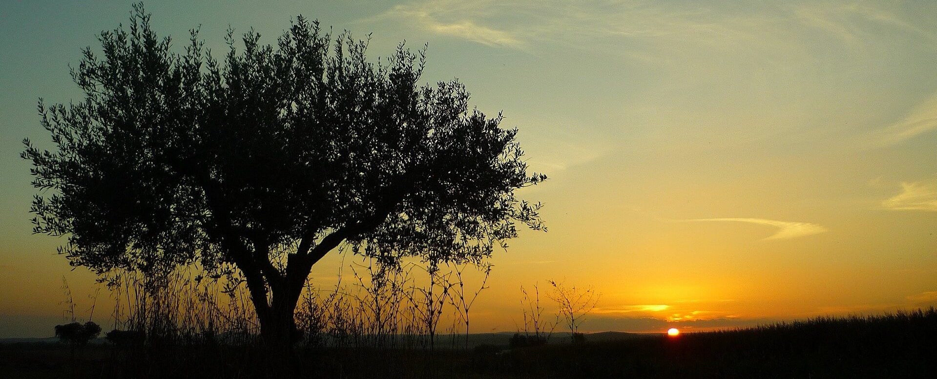 Temps et climat à Comporta - Comporta