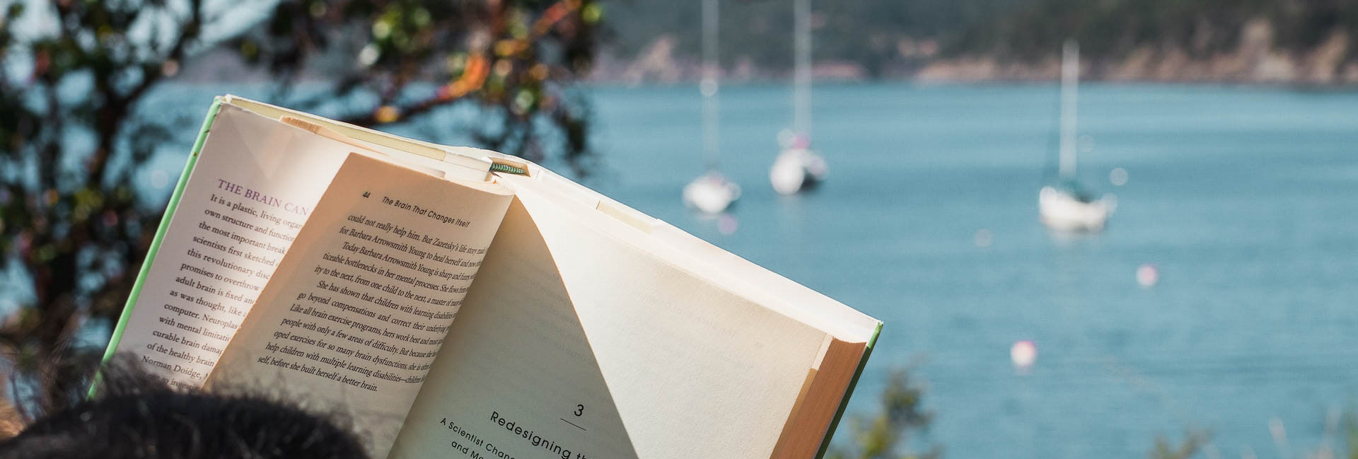 Découvrez la culture et les traditions en Corse - Corse