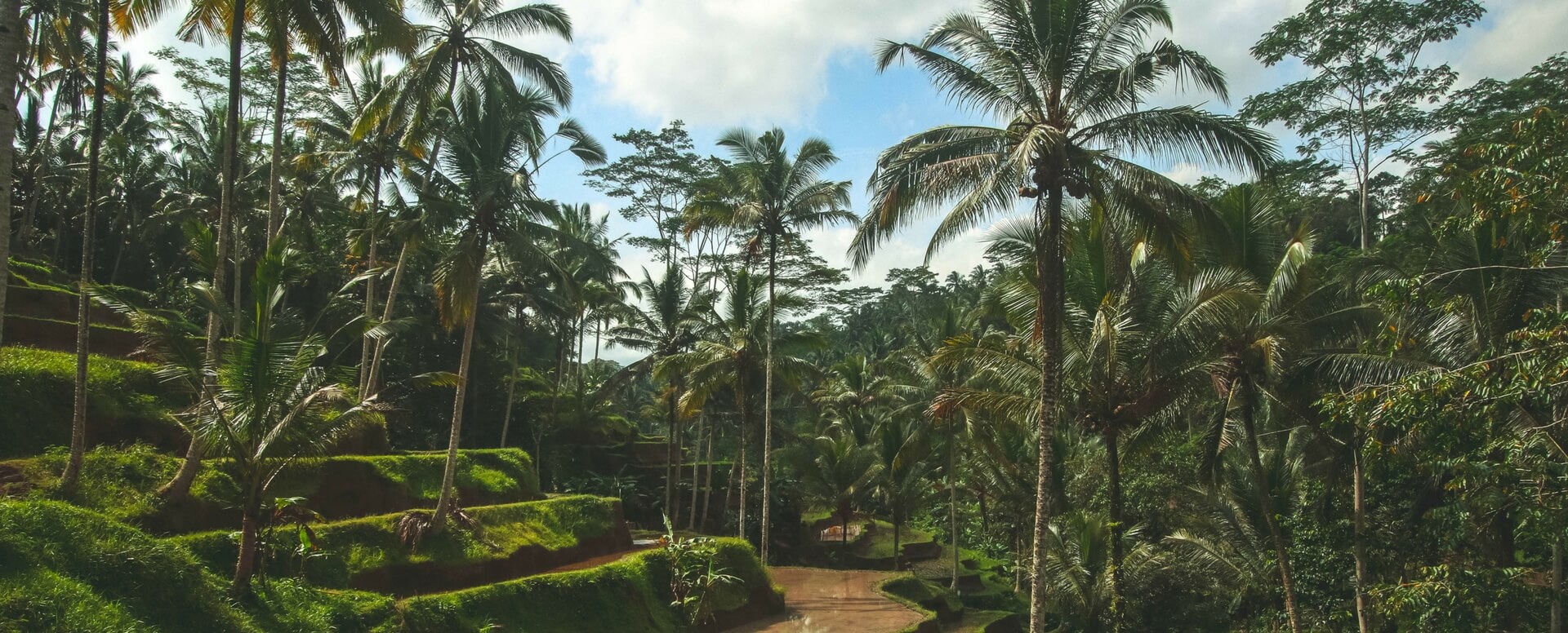 10 choses à faire à Bali - Bali