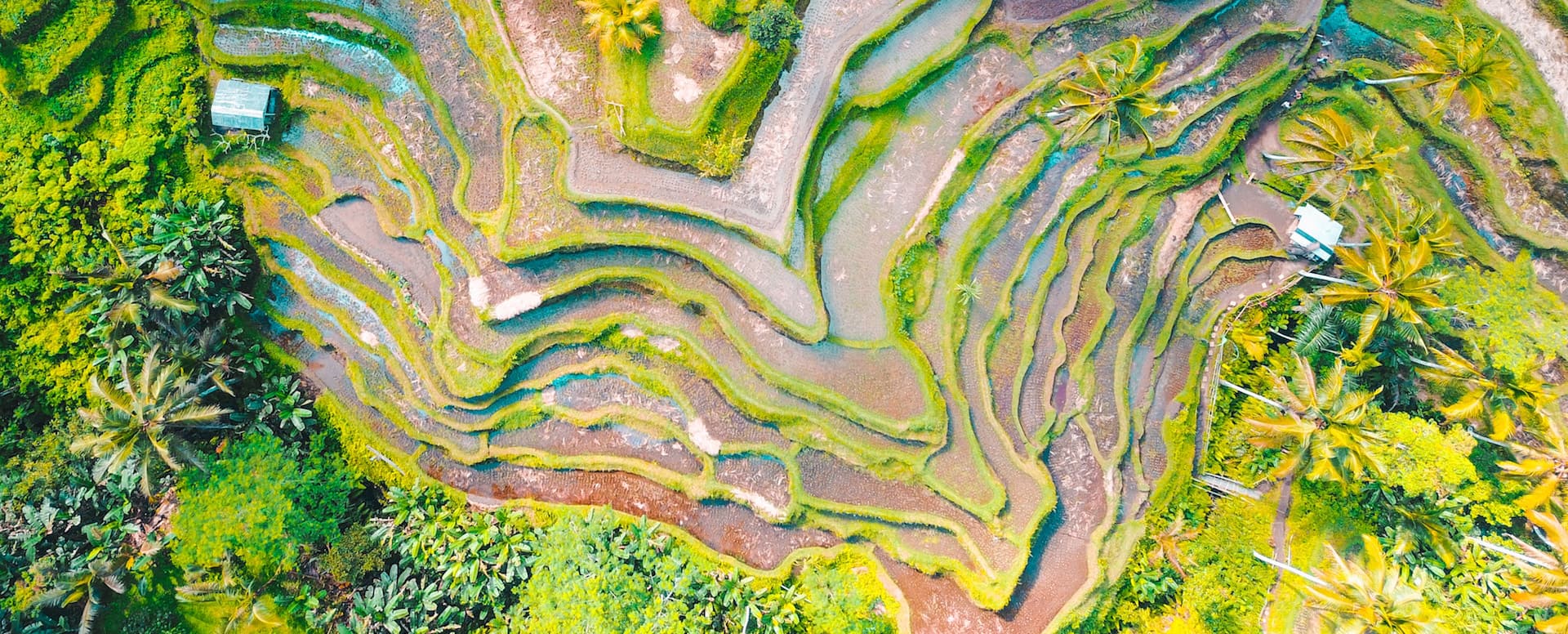 8- Évadez-vous dans les rizières - Bali