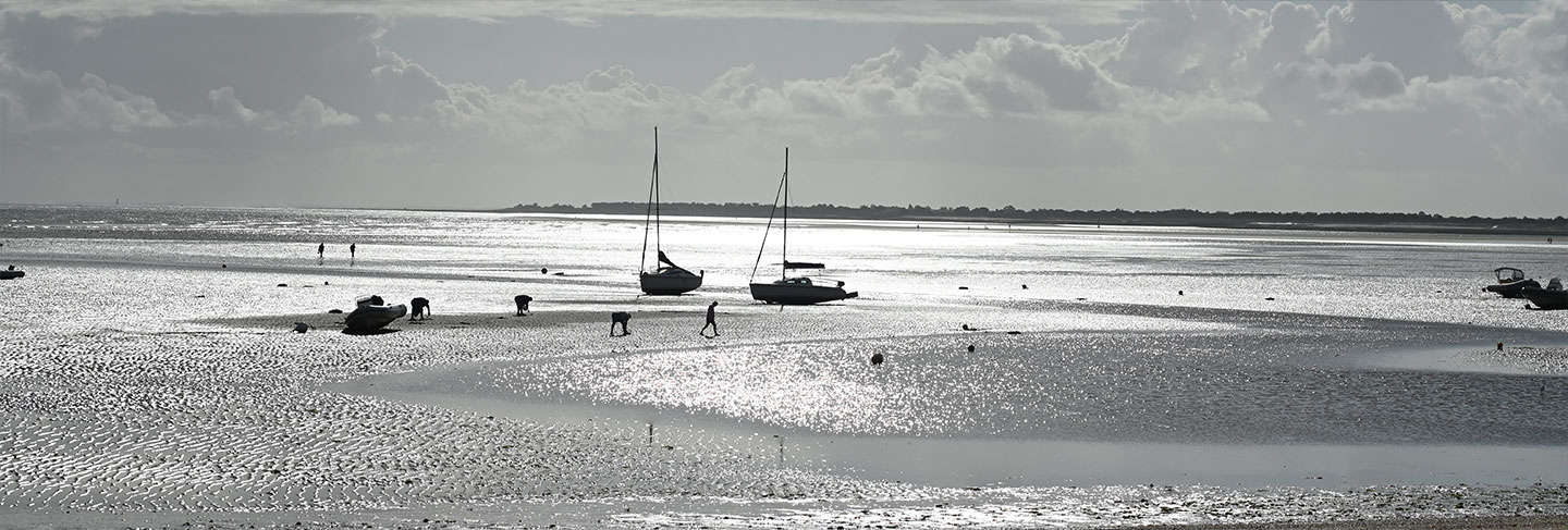 Découvrez les plus belles plages de l'Île de Ré - Île de Ré