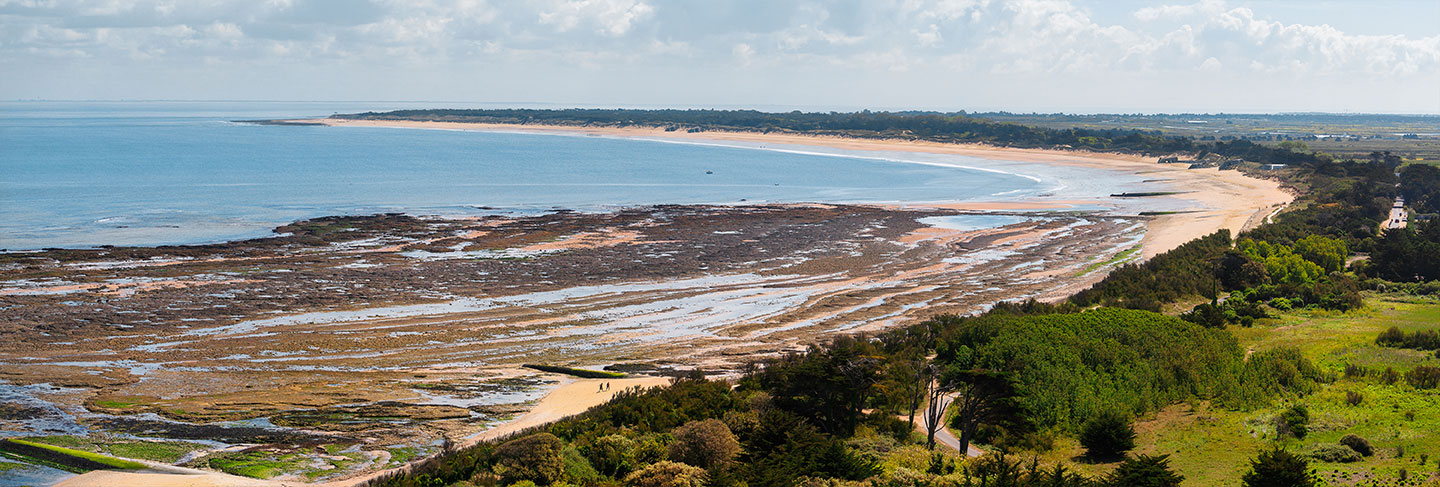 Découvrez les plus belles plages de l'Île de Ré - Île de Ré