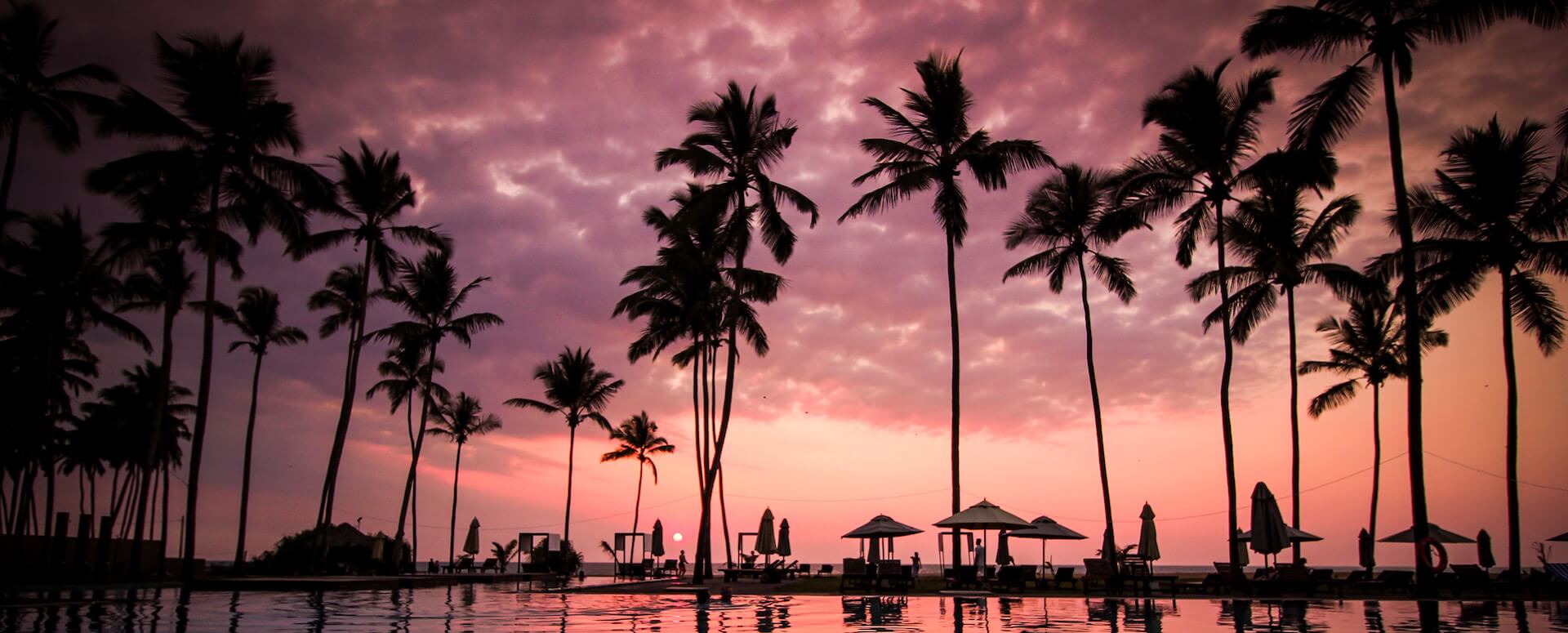 Découvrez les lieux à visiter absolument au Sri Lanka - Sri Lanka