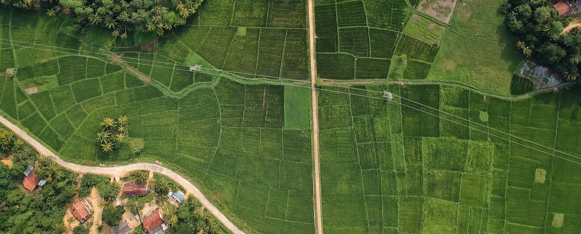 Découvrez les incontournables du Sri Lanka - Sri Lanka