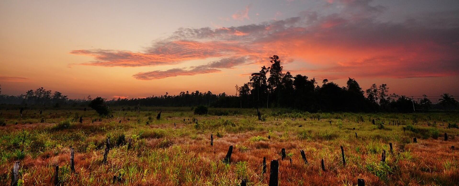 Kalimantan - Indonésie