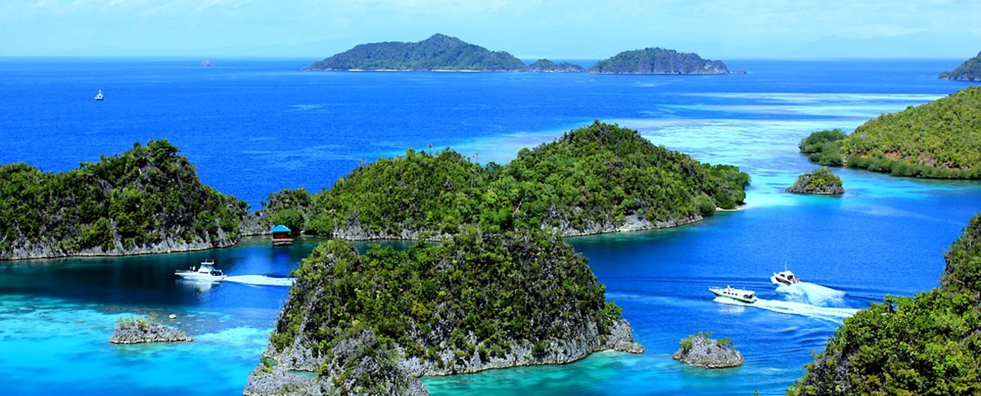 Papouasie - Indonésie