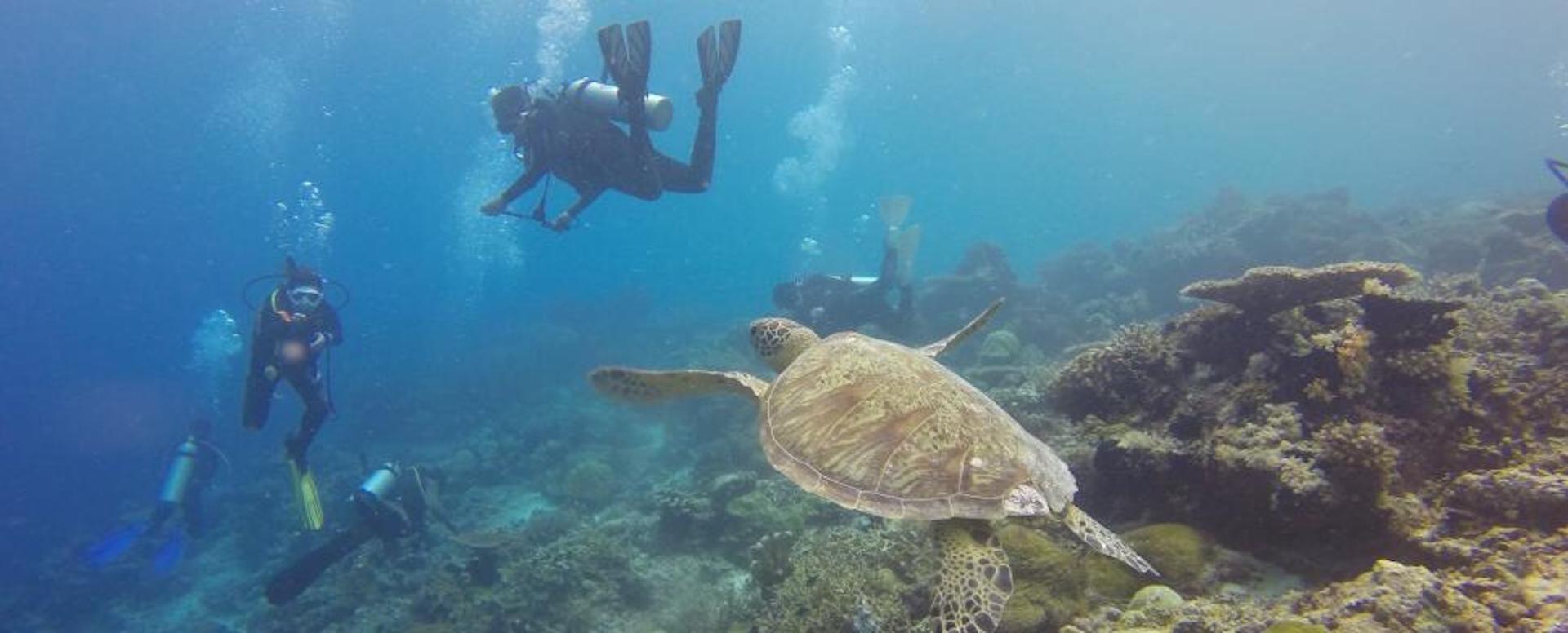S'adonner aux sports aquatiques - Indonésie