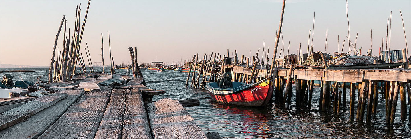 L'incontournable de Comporta - Comporta