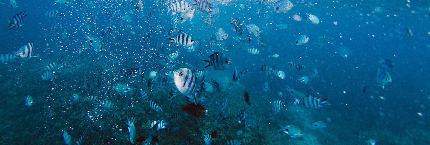 Régions de l'Ile Maurice - Île Maurice