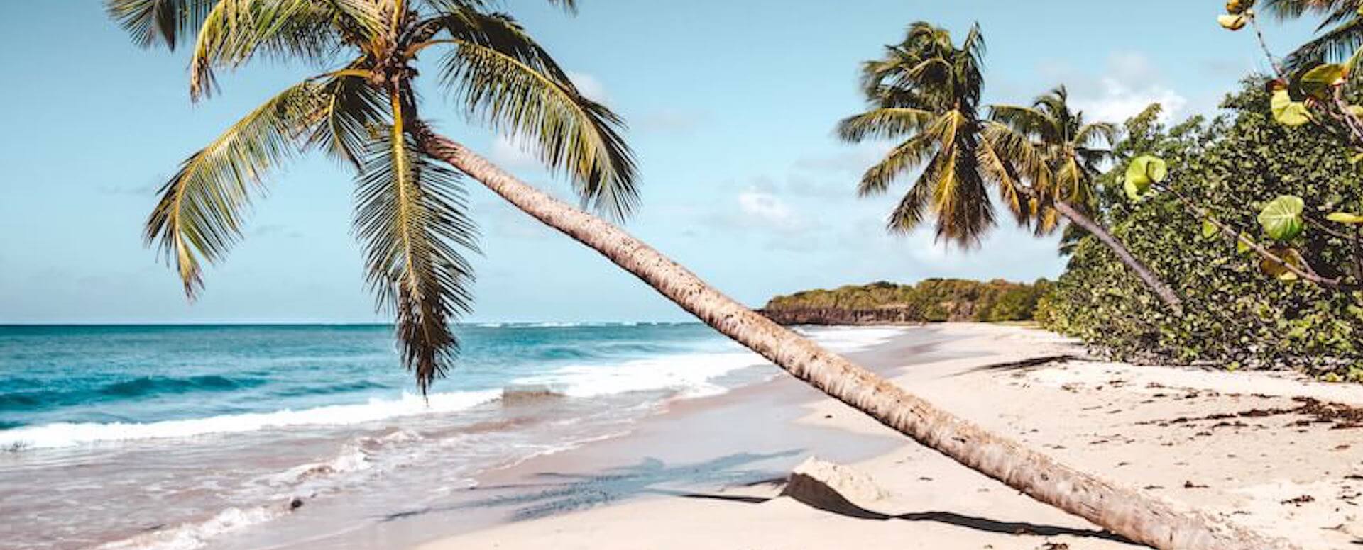 L’Anse des Salines - Martinique