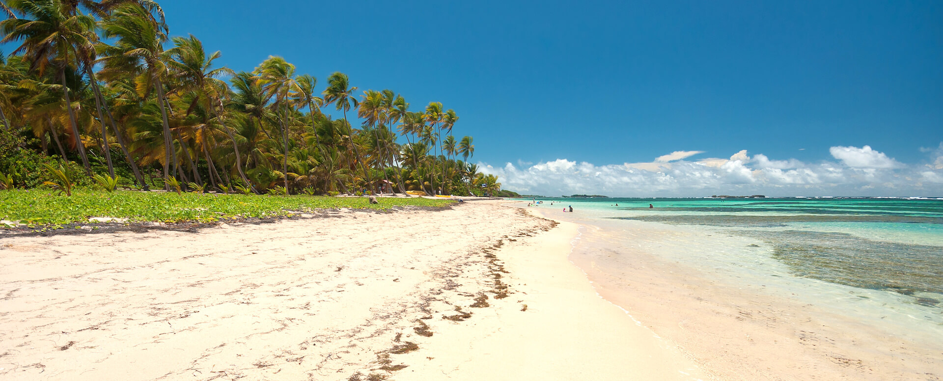 L’Anse Michel - Martinique
