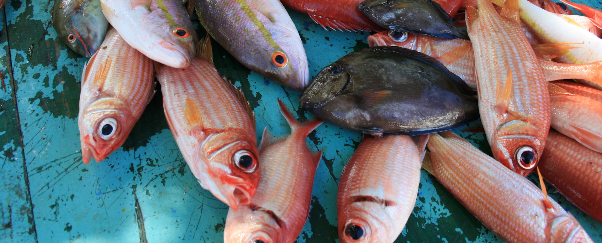 Quelques plats traditionnels - Martinique