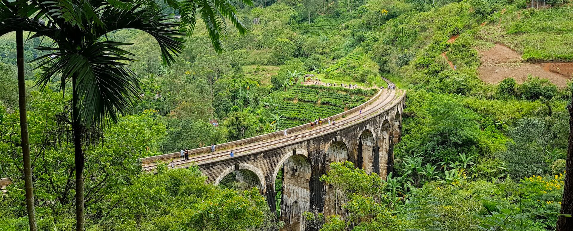 Juillet - Kataragama Perahera - Sri Lanka