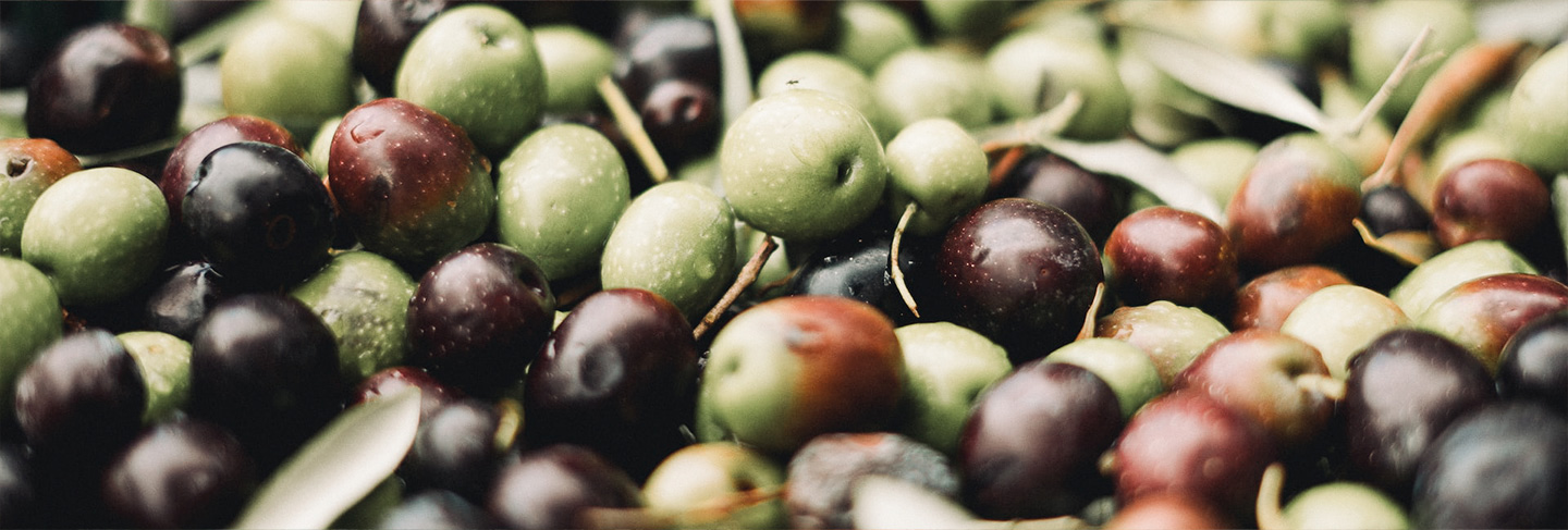 Un guide de la cuisine grecque - Grèce
