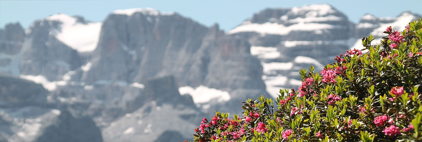 Guide Pratique – Région des Lacs - Les Lacs