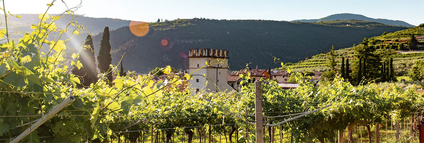 Région des lacs italiens : excursions et activités - Les Lacs