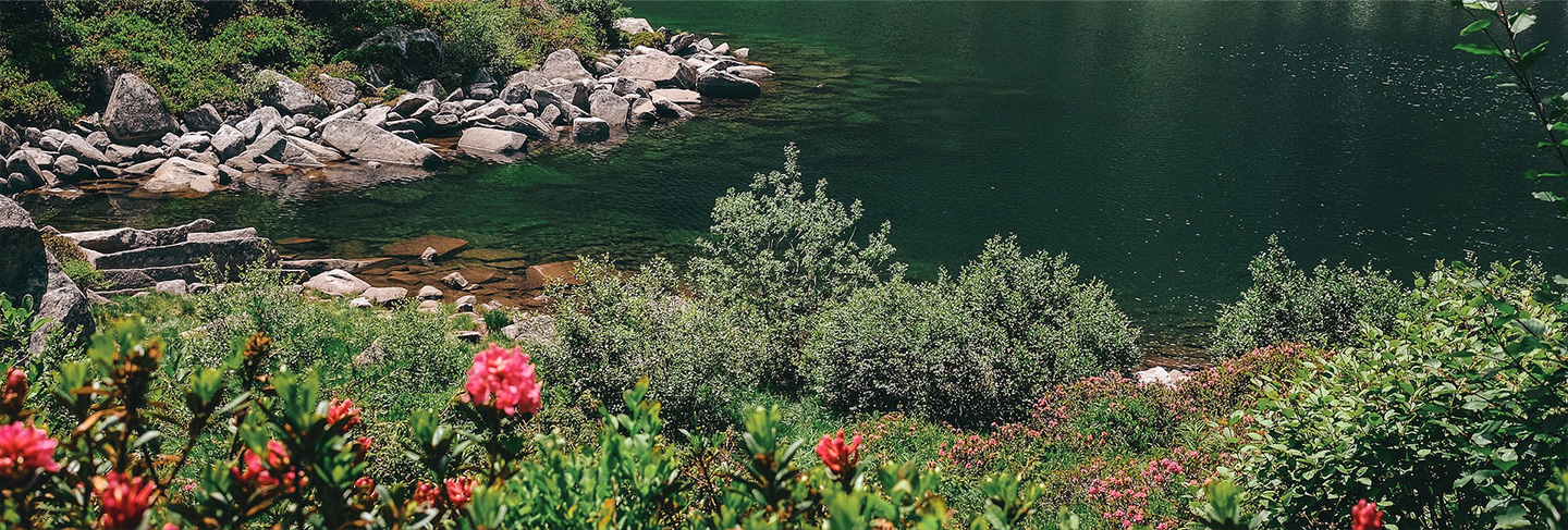 Guide pratique Italie - Italie