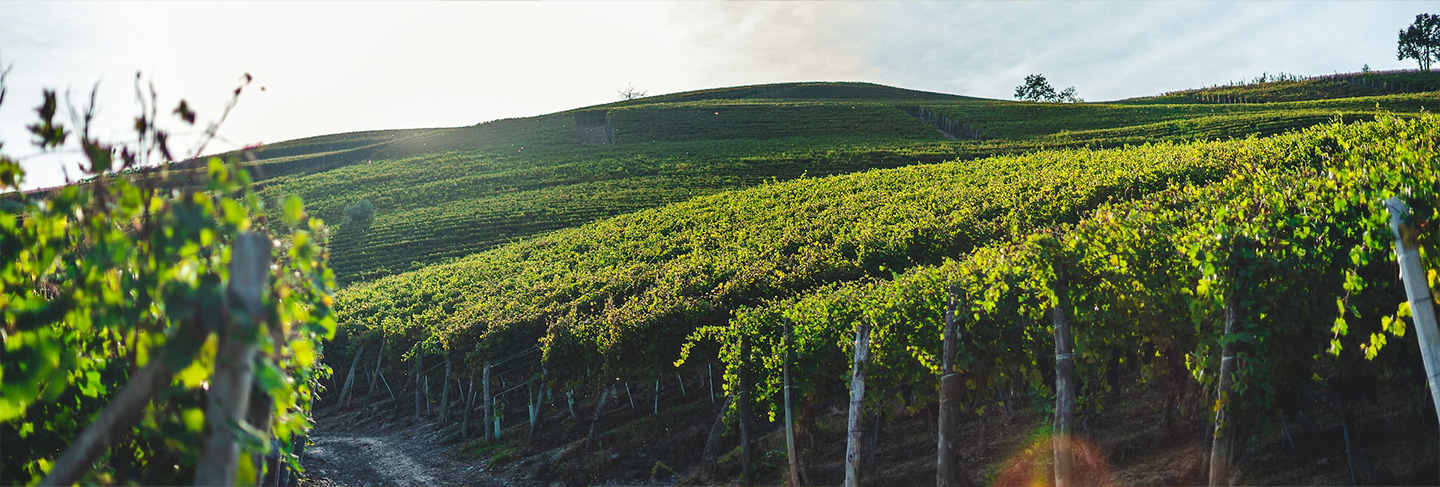 Guide pratique Italie - Italie