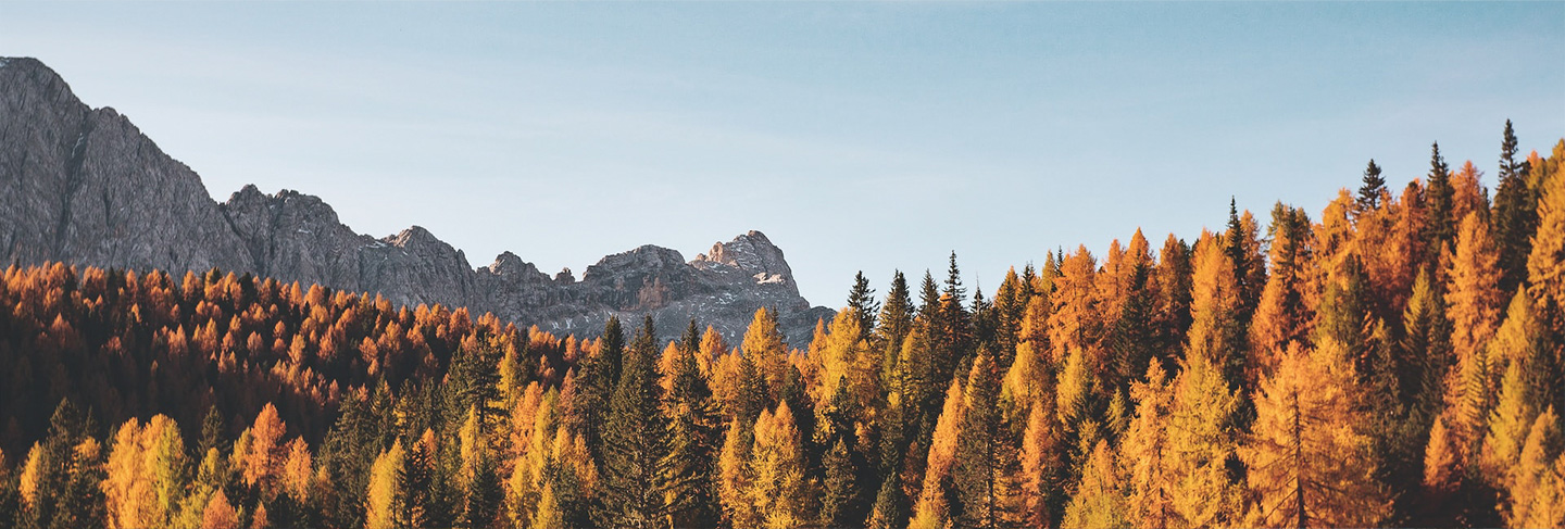 Guide pratique Italie - Italie