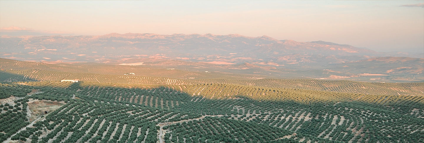 La culture et les traditions de l'Espagne - Espagne