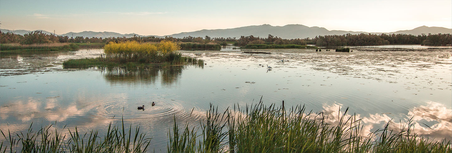 Les incontournables de la Costa Brava - Costa Brava