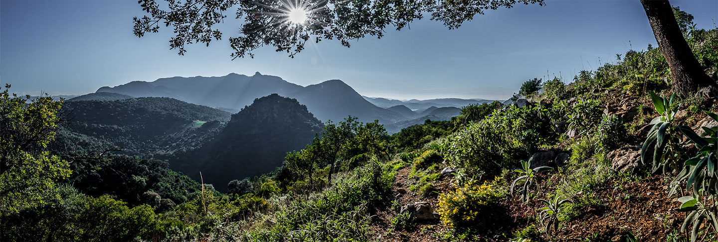 Les incontournables d'Andalousie - Andalousie