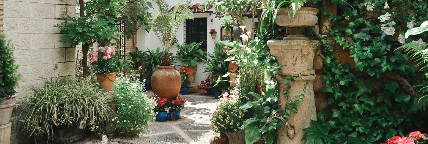 Culture, histoire et traditions d’Andalousie - Andalousie