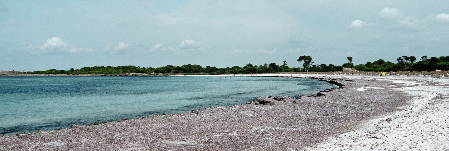Dans quelle région louer une villa aux Baléares - Ibiza