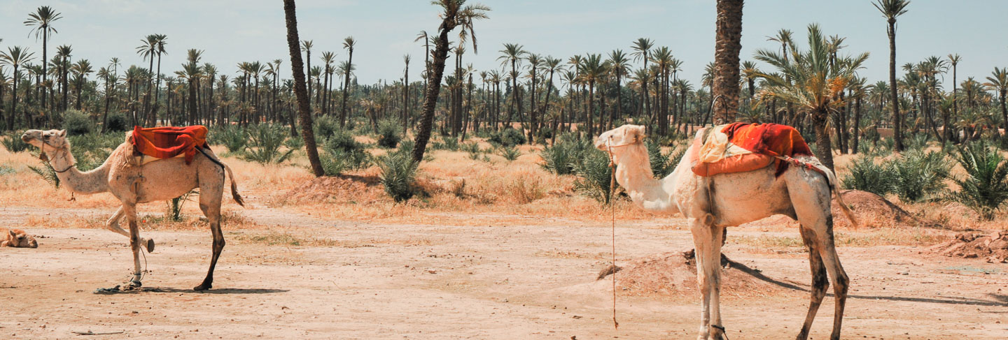 Les régions: où louer une villa au Maroc - Maroc