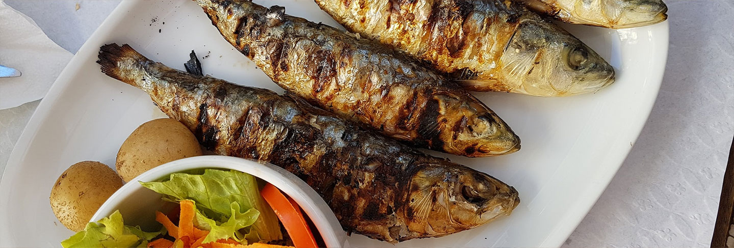 Guide gastronomique de Comporta - Comporta