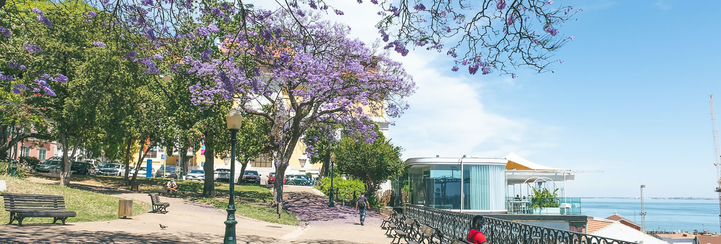 Guide Pratique Porto et le Nord du Portugal - Nord du Portugal