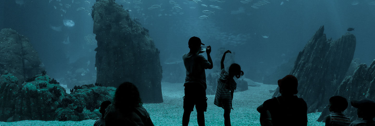 Les Incontournables de Lisbonne - Région de Lisbonne