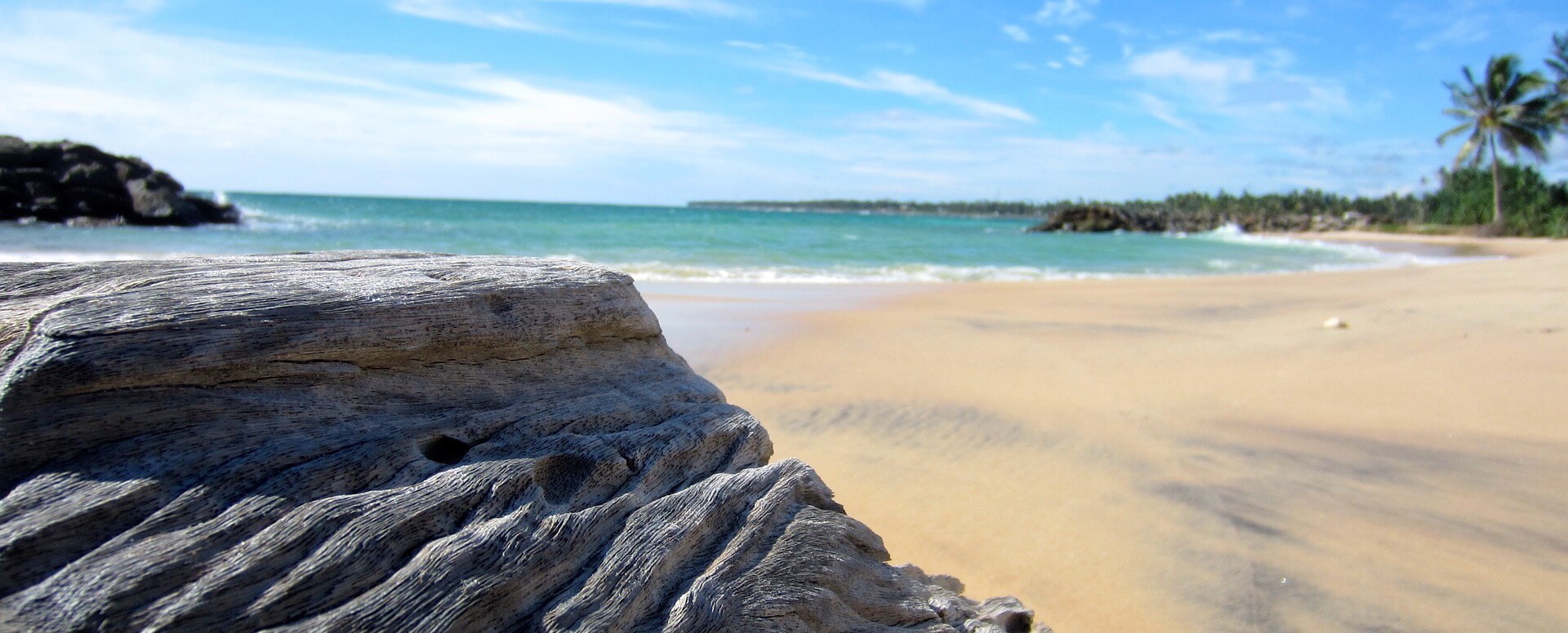 La plongée sous-marine, le surf et le farniente - Sri Lanka