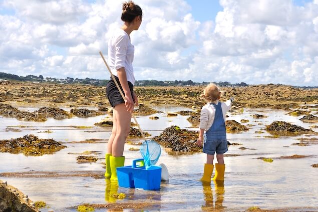 Pêche à pied