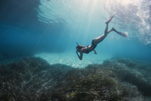 Plongée sous marine
